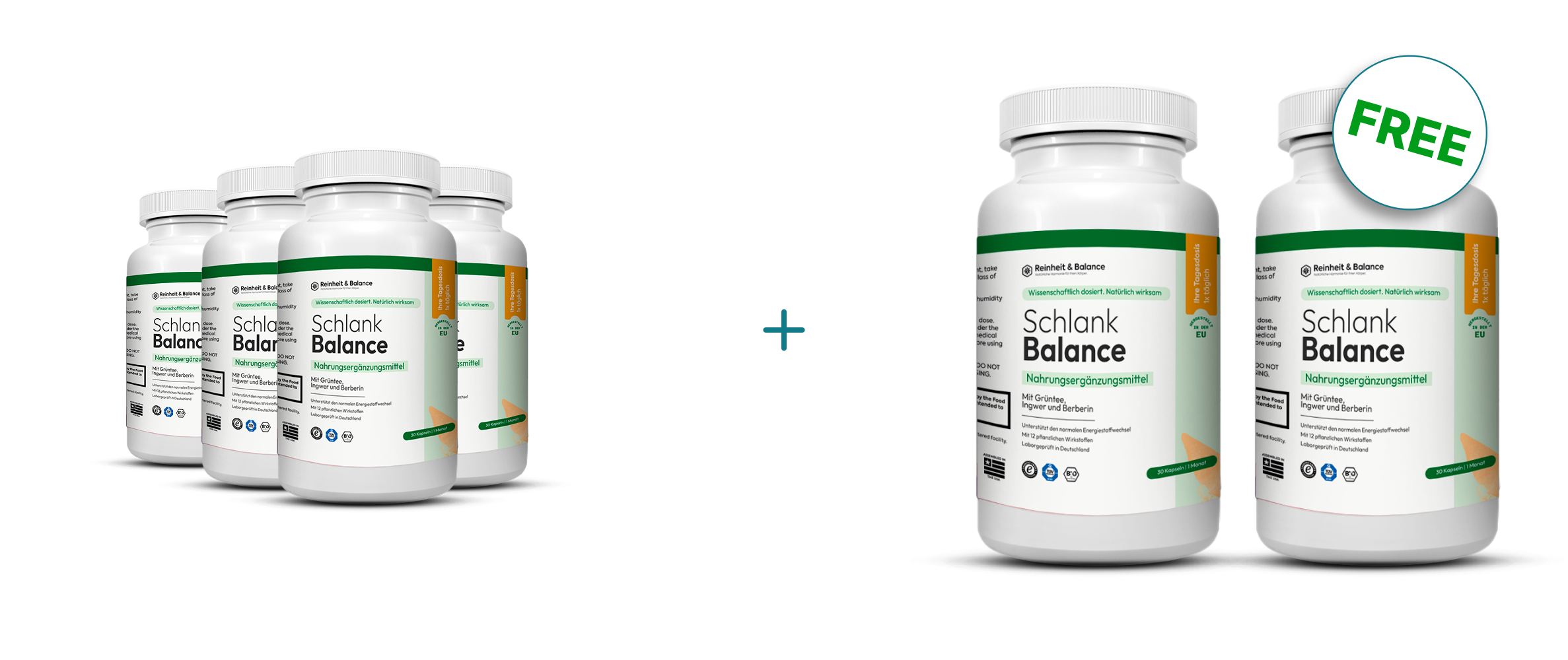 6 Flaschen Schlank Balance